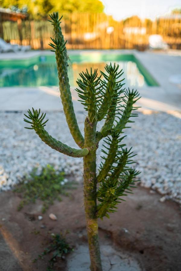 Las Salinas Gran Hotel San Jose de Las Salinas Dış mekan fotoğraf
